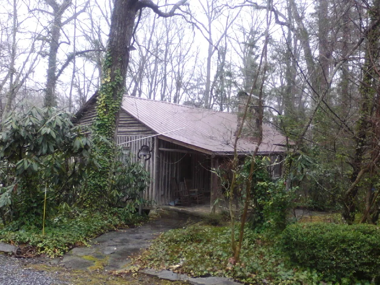 Weathered metal roof on an old board sided cabin in the woods in West Linn