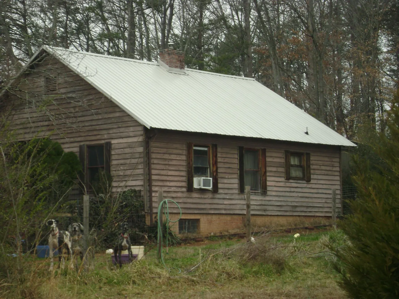 White metal roof on an old wood sided farmhouse, from a Metal Roof Installation job in West Linn